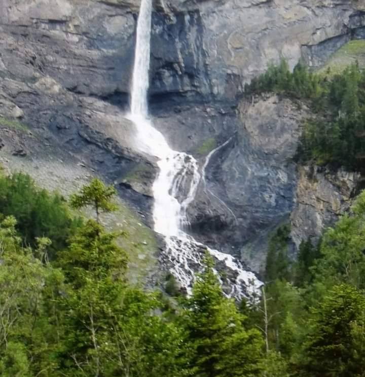 Swiss painting