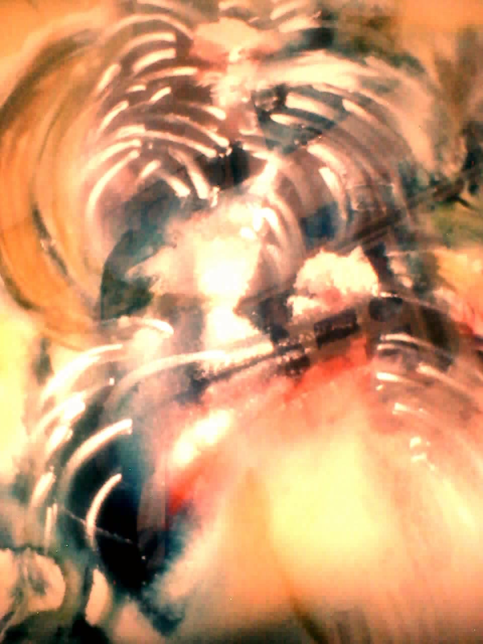 a painting of a face in a bowl