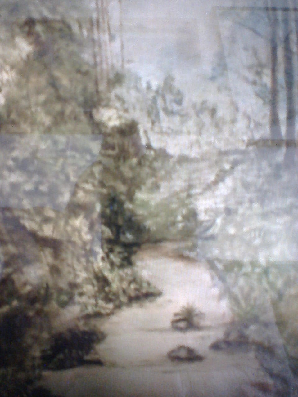 a painting of a forest with trees and a path