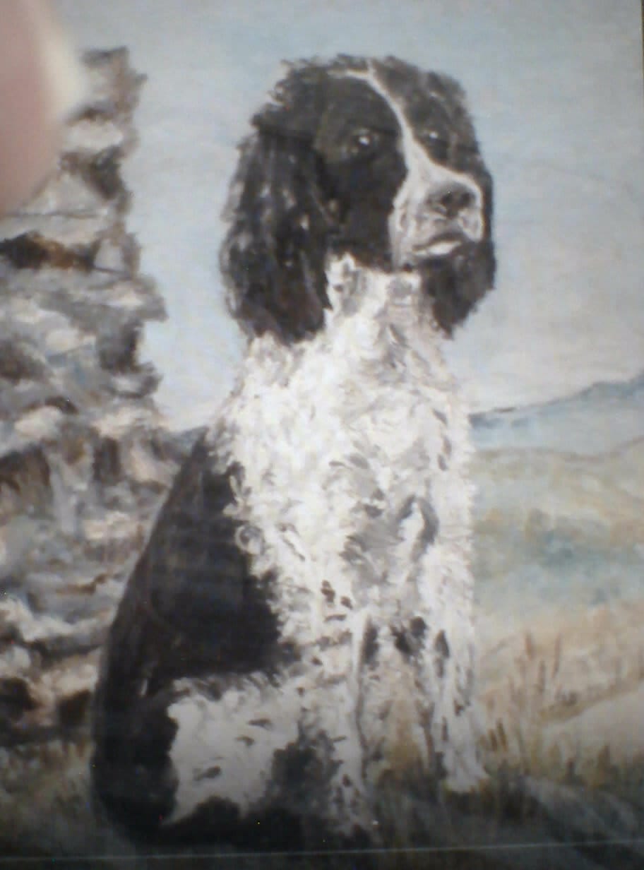 a painting of a dog
